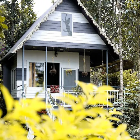 The Wayside Cottage Munnar Exterior photo