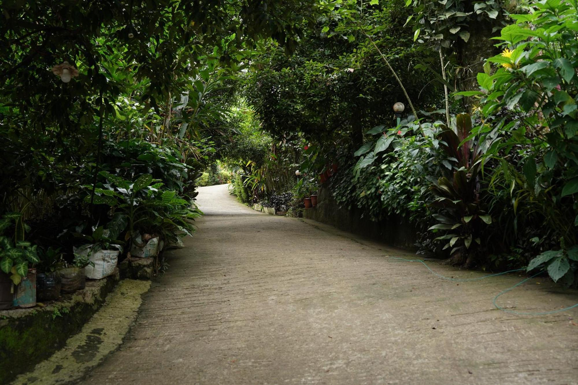 The Wayside * Munnar